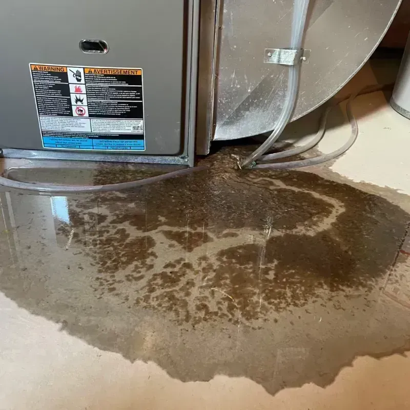 Appliance Leak Cleanup in Butler, MO